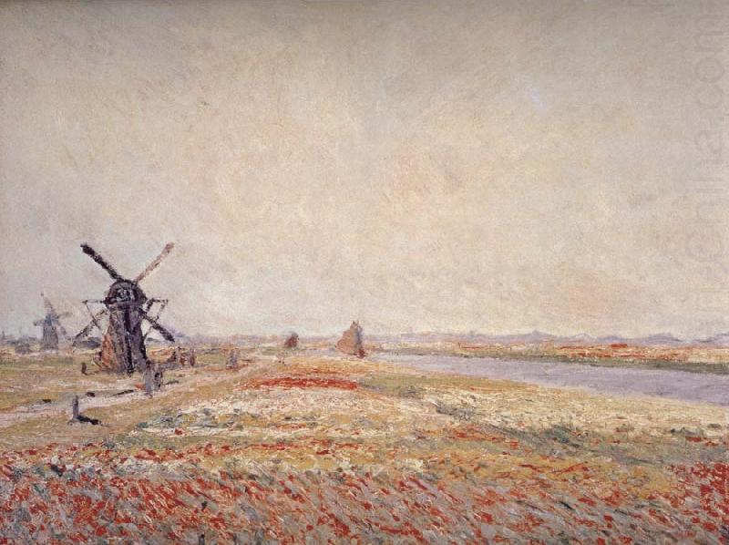 Claude Monet Field of Flowers and Windmills Near Leiden china oil painting image